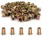 Nietmutter-Sortiment, 100 Stück, 6,35 mm (1/4 Zoll), 20 Karbonstahl, UNC-Nietmuttern-Sortiment, Flachkopf-Gewinde-Einsätze, Muttern (1/4 Zoll-20)