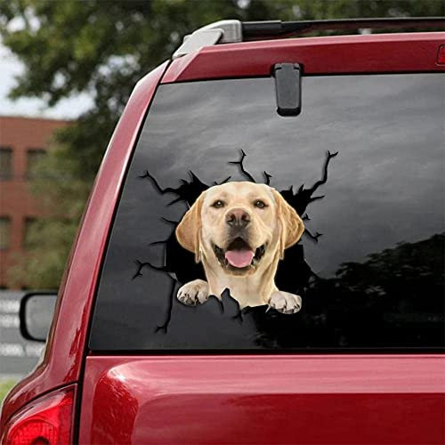 KedAiKJ 3D-Auto-Dekoration, Labrador, Riss, Vinyl, Hund, Fenster, Stoßstange, Aufkleber (25,4 x 25,4 cm)