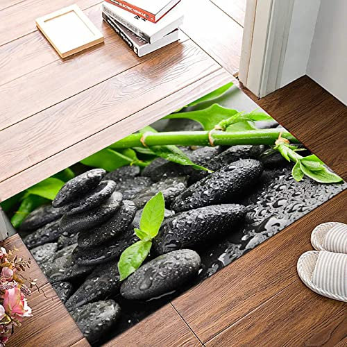 ANNKOOT Tapis De Bain Antidérapant,Tapis Salle Bain Moelleux en Microfibre,Pierres Zen Noires et Plante au Fond de l'eau,Lavable en Machine,Tapis de Douche pour Salle de Bain,50x80 cm