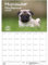 Mopszauber Planer DIN A2 Kalender für 2025 Mops Hunde und Welpen - Seelenzauber