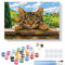 RICUVED Chat Peinture par Numéros Adultes et Enfants avec Cadre en Bois–Animal Peinture à l'huile, Kit DIY Pinceaux, Peintures, Décoration Murale Facile 20x30cm