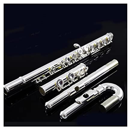 flöte Instrument Querflöte Einsteiger Einsteiger Musikinstrument 16 Offene Und Geschlossene Löcher Versilberte Primärpfeife (Color : 16double Mouthpiece)