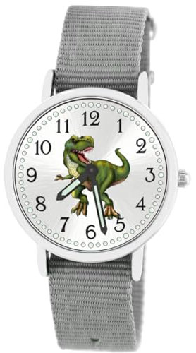 Brecjon Kinder Armbanduhr Jungen Jungenuhr Kids Dinosaurier T Rex Leuchtzeiger 5ATM Wasserdicht Textil Armband grau 5106