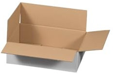 packster 100x Versandkarton Faltkarton weiß FEFCO 0201 300 x 200 x 100 mm Weiss