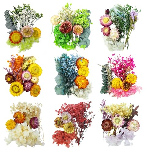 TooGet Trockenblumen 9 Taschen Mischfarbe Natürliche Echte Getrocknete Blumen Blätter für Handwerk Bunte Mini Trockene Wildblumen Pflanzen für DIY Kunst Kerze Harz, Unkraut Heimdekorationen