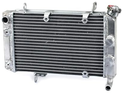 Compatible Con LTZ 400 400Z Para Quadsport 2003 2004 2005 2006 2007 2008 Radiador Enfriador De Motor Depósito De Refrigerante De Motocicleta Botella Tanque Depósitos de rebose