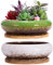 ARTKETTY Macetas para Plantas suculentas, 2 macetas Grandes para suculentas con Drenaje, macetas de bonsái Poco Profundas con bandejas, contenedor para Plantas de Flores, macetas de cerámica para