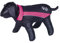 Nobby 65306 Hundemantel SABI schwarz-pink, 80 cm