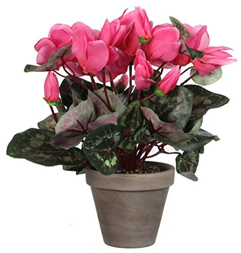 Mica decorations ZYKLAMEN IN Stan Topf, Polyester, h.rosa, 30 x 30 x 30 cm, 6-Einheiten