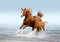 PFERDE Fototapete VLIES-250x186 cm (5232A)-Natur Landschaft Pferd Pony Strand Meer See Tiere Wandtapete-Inkl. Kleister-Vliestapete Bild Dekoration Wand-Dekor Moderne Motiv-Tapete Panorama Poster XXL