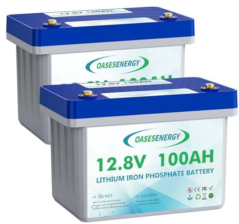 2 Packungen 12V 100Ah LiFePO4-Batterie, 1280Wh Lithium Akku Deep-Cycle-Batterie, 100A BMS, 4000+ Ladezyklen, perfekt für Wohnmobil, Solar, Notstrom, Camping, Trolling-Motor