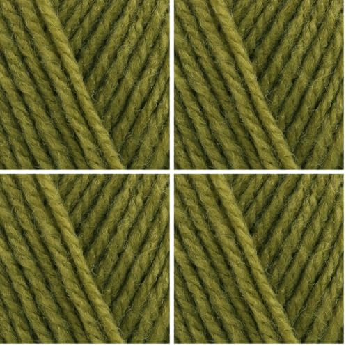 Stylecraft Special DK 100g (Mistletoe 2180) (Pack of 4)