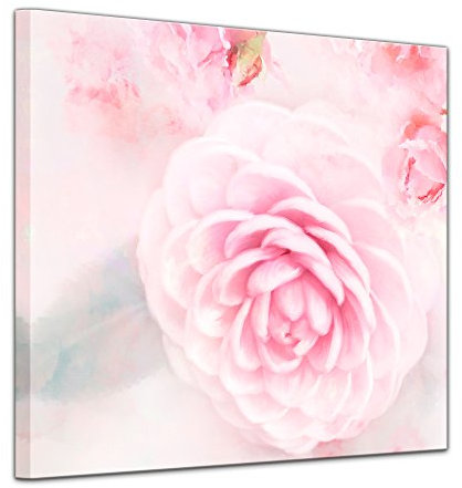 Wandbild - Aquarell - Rosa Rosen - Bild auf Leinwand 40 x 40 cm einteilig - Leinwandbilder Bilder als Leinwanddruck Pflanzen & Blumen Malerei - Natur rosafarbene Blüten