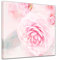 Wandbild - Aquarell - Rosa Rosen - Bild auf Leinwand 40 x 40 cm einteilig - Leinwandbilder Bilder als Leinwanddruck Pflanzen & Blumen Malerei - Natur rosafarbene Blüten