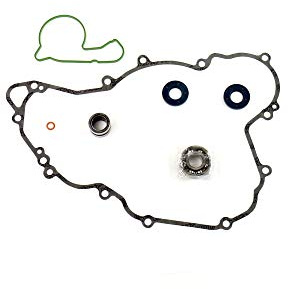 Athena Parts P400270475011 Dichtungssatz für Wasserpumpe, mit Lager, Schwarz