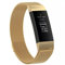 HYKEJI Armband Kompatibel mit Fitbit Charge 3 Armband/Fitbit Charge 4 Armband, Metal Mesh Edelstahl Damen Herren Armband mit Magnet für Fitbit Charge 3 / Fitbit Charge 4 (F)