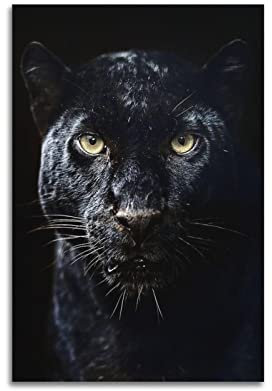 VZRSQZK Black Panther Poster, Poster, dekoratives Gemälde, Leinwand, Wandposter und Kunstdruck, modernes Familienschlafzimmer-Dekor-Poster, 20 x 30 cm