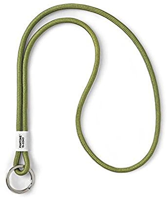 Pantone Design-Schlüsselband Key Chain Long | Schlüsselanhänger robust und Farbenfroh | lang | Green 15-0343 | grün