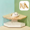 bangminda Haustier Hamster Badezimmer Sandbad-Container für Hamster mit Leiter Acryl Katzenklo für Kleintiere Mäuse Lemminge Rennmäuse Sandbad Container Toilette Hamster Badebox Hamster Badehaus