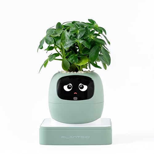 OUSEITECH Pot de fleurs intelligent 2.0 amélioré pour animal de compagnie, version entièrement améliorée, pot de fleurs interactif, multifonctionnel, intelligent, Big Data avec 7 capteurs pour aider à