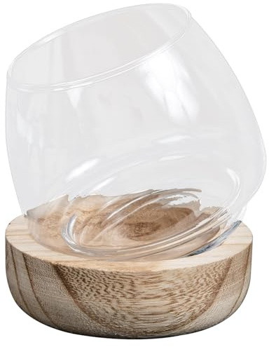 Luxshiny Bouteille en Verre Transparente Petite Taille Support en Bois, Aquarium Décoratif Hydroponique Multifonctionnel pour Maison et Bureau, Vase Micro-Paysage pour Plantes et Poissons,