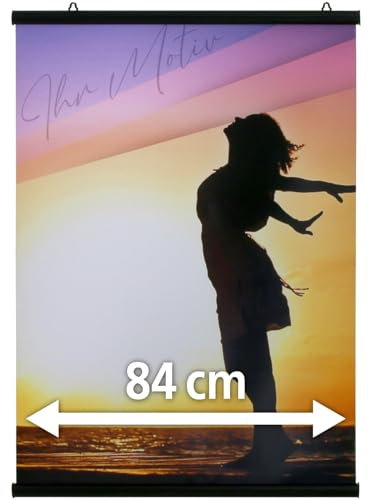 Alu Klemmschiene schwarz Posterschiene Poster aufhängen (84 cm (A0))