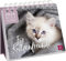 Mini-Wochenkalender 2024: Für Katzenfreunde: Tischkalender mit Wochenkalendarium zum Aufstellen für Katzenfreunde