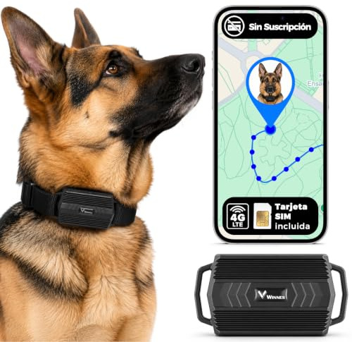 4G GPS Tracker Tier mit Halsband, 3000mAh Wasserdicht Rinder Schaf GPS-Tracker Weiden Anti Verloren GPS Tracking Geräte