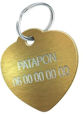 Hundemarke zur Personalisierung für Hunde und Katzen - Gravierte, Personalisierbare Medaille - 7 Farben Verfügbar (Groß Herz-31 mm, Gold)