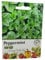Vegetable Fruit Seeds Veg Seeds Cabbage Carrot Sweetcorn Tomato Strawberry (Peppermint)