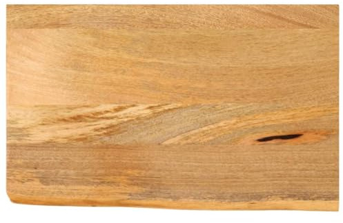 vidaXL Tischplatte, Holzplatte mit Baumkante, Massivholzplatte für Esstisch Couchtisch, Ersatztischplatte, 40x20x3,8cm Massivholz Mango