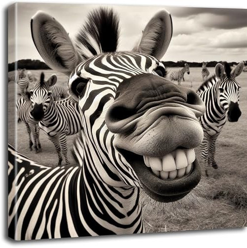 Objectz Leinwandbild Smiling Zebra/lachendes Zebra - witziges Wandbild auf Leinwand - verschiedene Formate - aufhängfertig (60 x 60 cm)