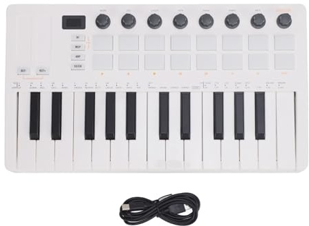 Controller tastiera MIDI 25 Chiave BT Wireless portatile USB alimentato con 16 pad RGB 8 manopole per lo studio di produzione musicale Performance