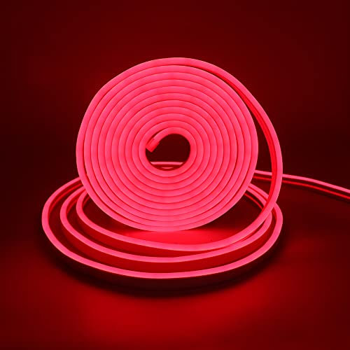 XUNATA USB LED Strip Mit Schalter, 5V 2835 120leds/m Neon Schlauch Diffusion Wasserdicht Flex LED Lichtband Streifen (Rot, 5M)