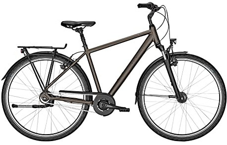 Kalkhoff Image HS R City Bike 2022 (28 Herren Diamant M/50cm, Crystalgrey Matt (Herren))