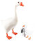 Magnetischer Schlüsselhalter,Resin Gans Ente Statue Kreative Kunst Schlüsselhalter,3D Niedliche Tierfiguren Schlüsselhalter, Schlüsselaufhänger Autoschlüssel Organizer,Einweihungsgeschenke (Stil 1)