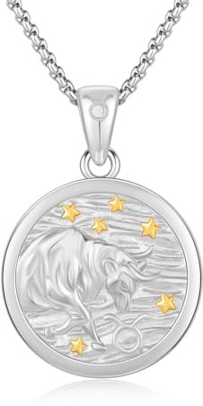 REDSUN Stier Sternzeichen Halskette 925 Sterling Silber 12 Konstellation Kette Tierkreiszeichen Anhänger Astrologie Horoskop Anhänger Sternzeichen Halskette Für Männer Frauen(Silber)