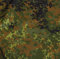 TOLKO Camouflage Stoff im Bundeswehr Armee Flecktarn | Robust Farbecht UV-beständig | Uniform Stoffe zum Nähen Meterware aus Baumwolle | mittelschwer 160cm breit (Original)