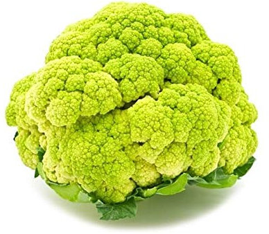 CAVOLFIORE GREEN PROFESSIONAL NR.100 SEMI