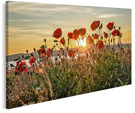 islandburner Bild auf Leinwand Roter Mohn Sonnenuntergang Mönchgut Ostseeinsel Rügen Bilder Wandbilder Poster
