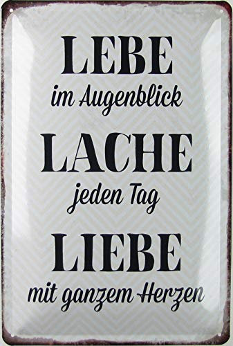 Blechschild 20x30cm gewölbt Lebe Lache Liebe Humor Spruch Sprüche Deko Geschenk Schild