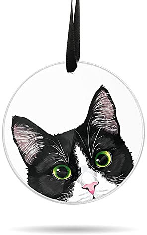 WIRESTER Hängende Weihnachtskugeln Ornamente für Weihnachtsbaum, Feiertage, Party, Auto, Zuhause, Büro, groß, 7,6 cm, Acryl, fertig zum Aufhängen, Schwarz / Weiß
