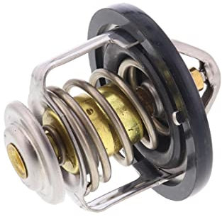 ACKOJA A55-99-0001 Termostato, refrigerante