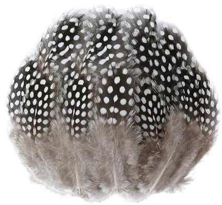 DHSBGWSX 100 Stück Perlenfedern, Braune Federn, Federhandwerk, Federdekoration, Perlhuhnfedern, Schmuckzubehör, DIY-Basteldekoration