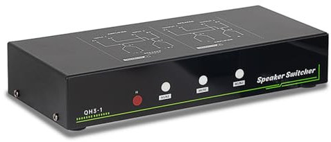 NOLOWY Conmutador de sonido profesional para amplificadores y altavoces con doble canal de salida, uso en estudio de escenario