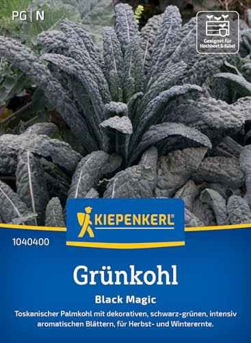 Kiepenkerl Grünkohlsamen Black Magic 1040400 - Toskanischer Palmkohl - dekorativ - schwarz- grün - aromatisch - Samen Gemüse, Saatgut, Gemüsepflanzen