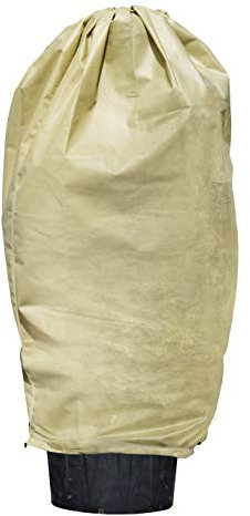 Windhager Winter-Vliesmantel Superprotect XXL, Kälteschutz, Frostschutz für Pflanzen, Abdeckvlies, Winterschutzhaube, 1,9 x 2,4 m, beige