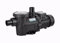 Pompe de filtration pour piscine - 750 Watts - 1 CV - Laswim/filtre à sable/piscine hors sol