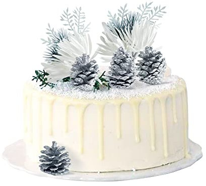 Blumomon 5Pcs Winter Wonderland Cake Decorations Artificial White Flower Artificial Pine Cones Cake Toppers for Winter Christmas Xmas Holiday Party Supplies