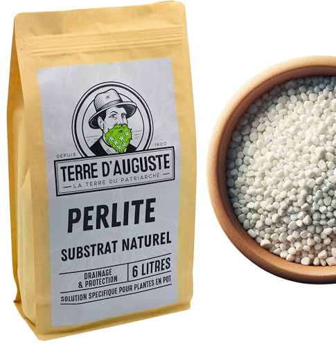 Terre d'Auguste – Perlite pour Plantes et Terrarium 6L – Qualité Supérieure pour Rempotage, Drainage et Aération